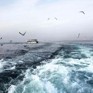 双男主gai做爱免费观看
