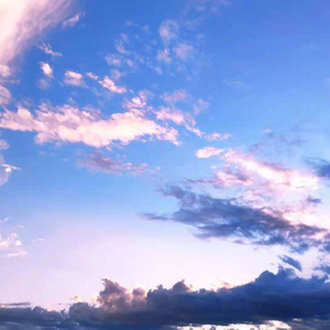 双男主gai做爱免费观看
